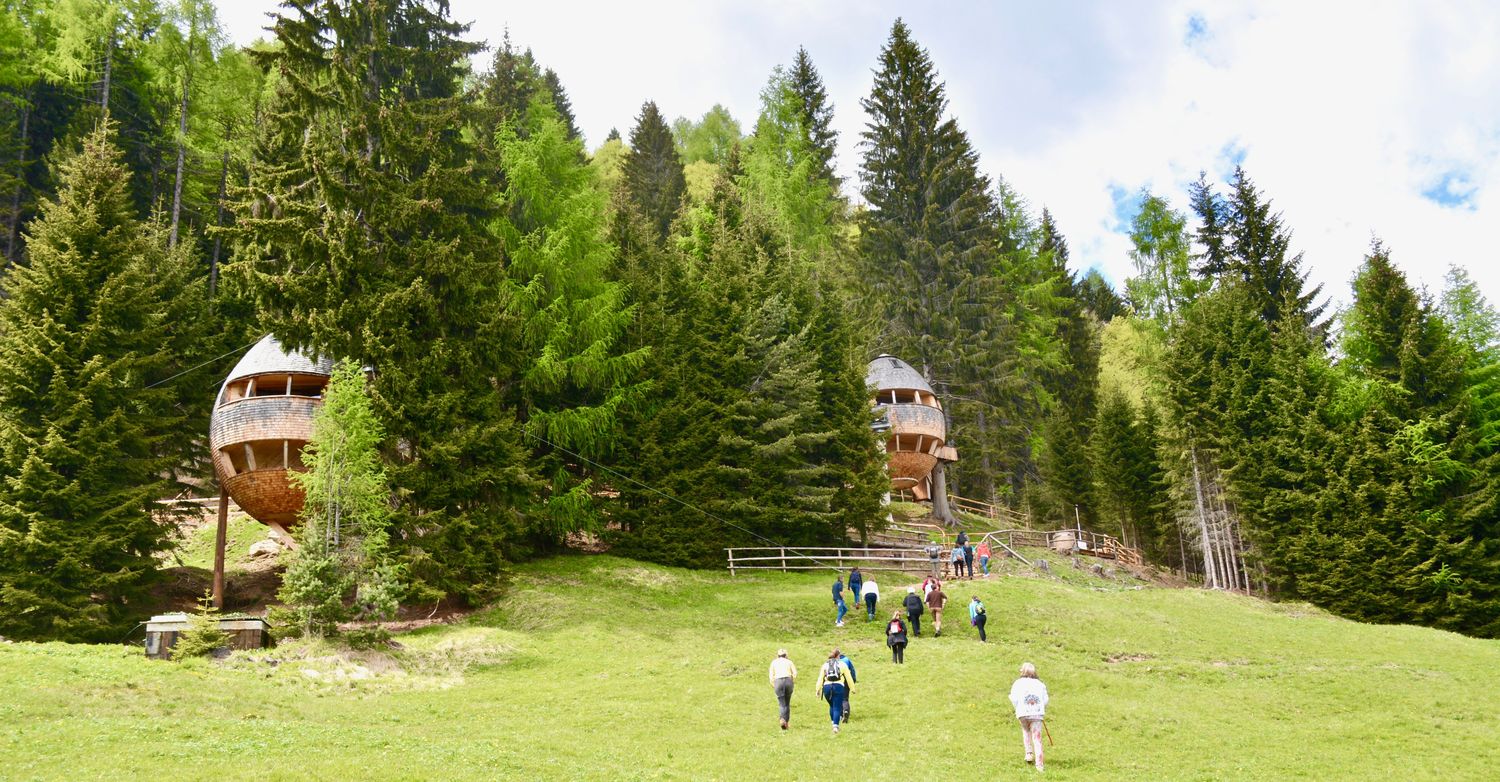 Tarvisio, Tourismus, Natur, Baumhaus, Wald, Urlaub, nachhaltig, sustainable, tourism, Italy, nature, wood